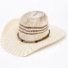 Cody James Men's 15X Bangora Braided Arrow Cowboy Hat