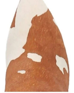 Dingo Women's Mane Tamer Fashion Booties - Pointed Toe -Cowboy Pradise 2000344410 280 P6